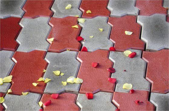 Neev Group Fly Ash Bricks makes sure the term fly ash bricks price more affordable for you in and around kota.